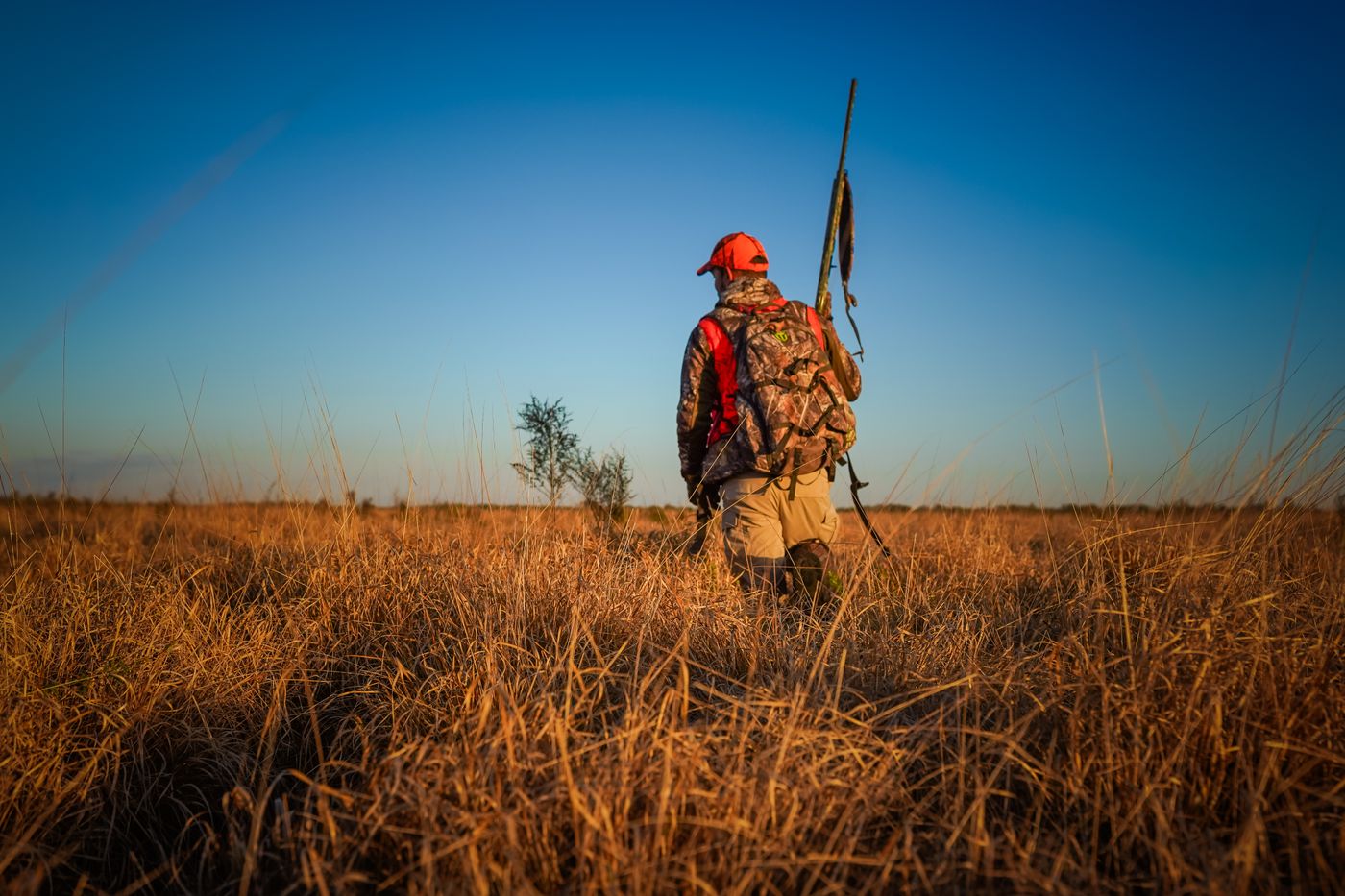 A hunter walking through a sunny Southern field